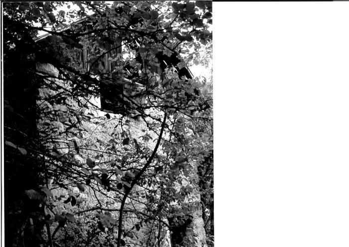 [VIDE]