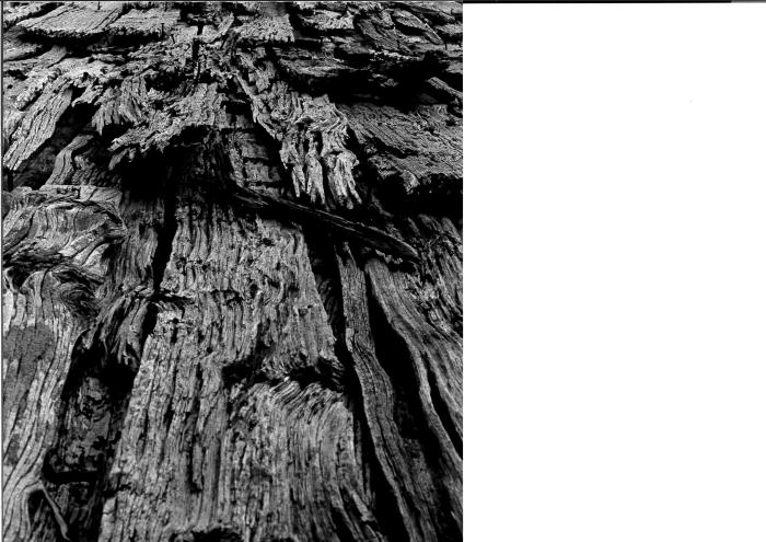 [VIDE]