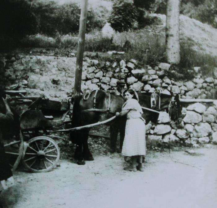 [Promenade en carriole à Saint-Léger, 2/2 du 20e siècle.]
