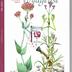 La Garance voyageuse : revue du monde végétal - n° 130 Juin 2020 -  Centranthus -  Tannins - Encres - Arnica - Bruyères