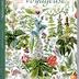La Garance voyageuse : revue du monde végétal  - n°139  Septembre  2022 - Amazonie - Kaki - Palmiers - Primevère des mers - signature des plantes