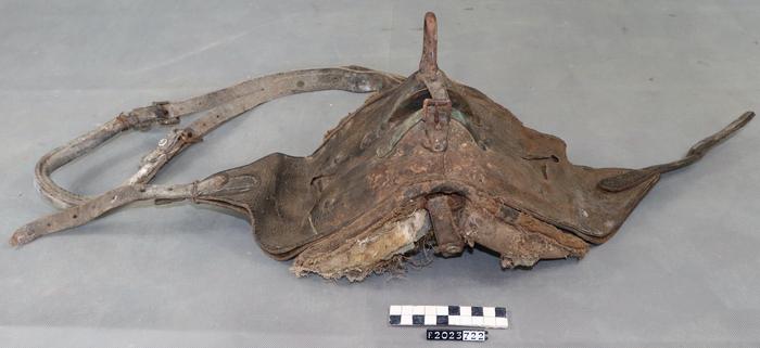 [VIDE]