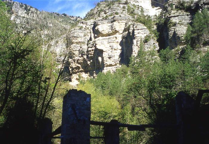 [VIDE]